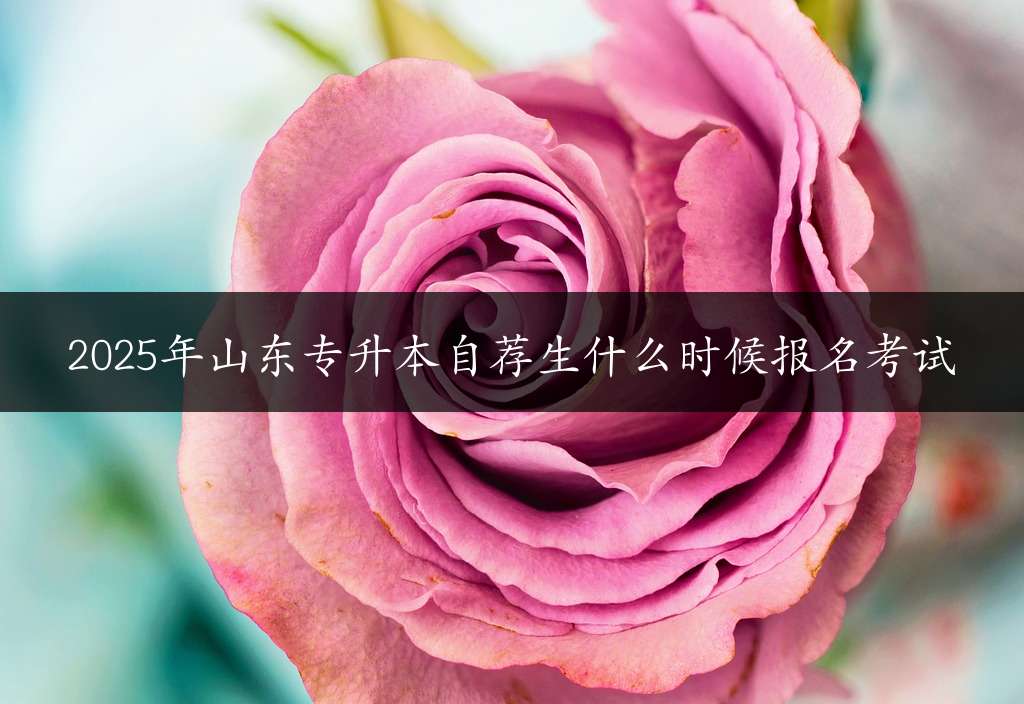 2025年山东专升本自荐生什么时候报名考试