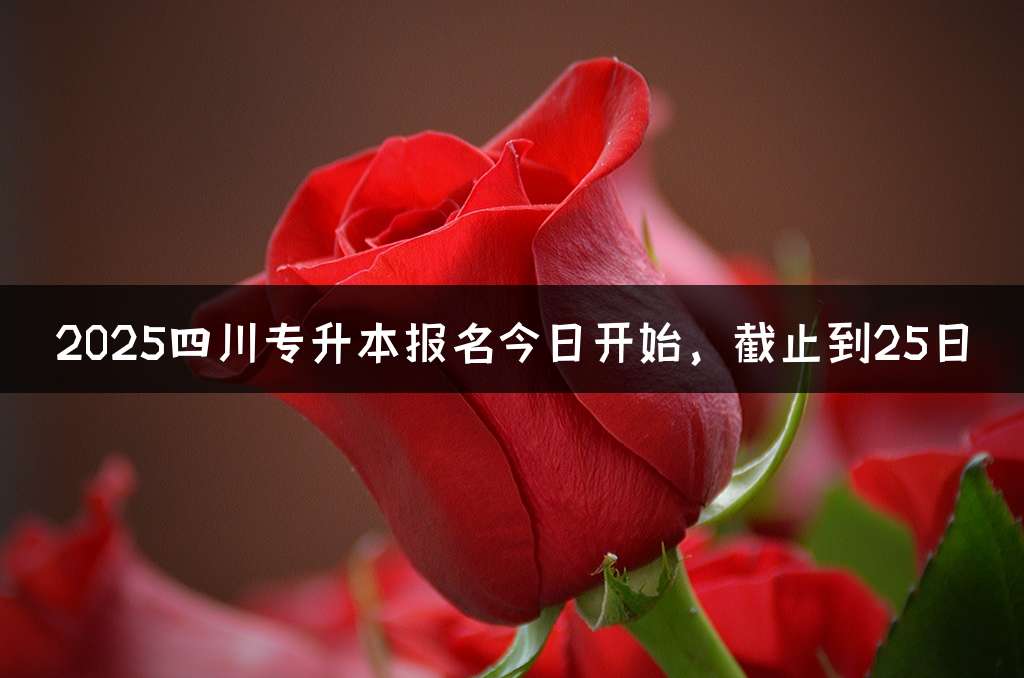 2025四川专升本报名今日开始，截止到25日