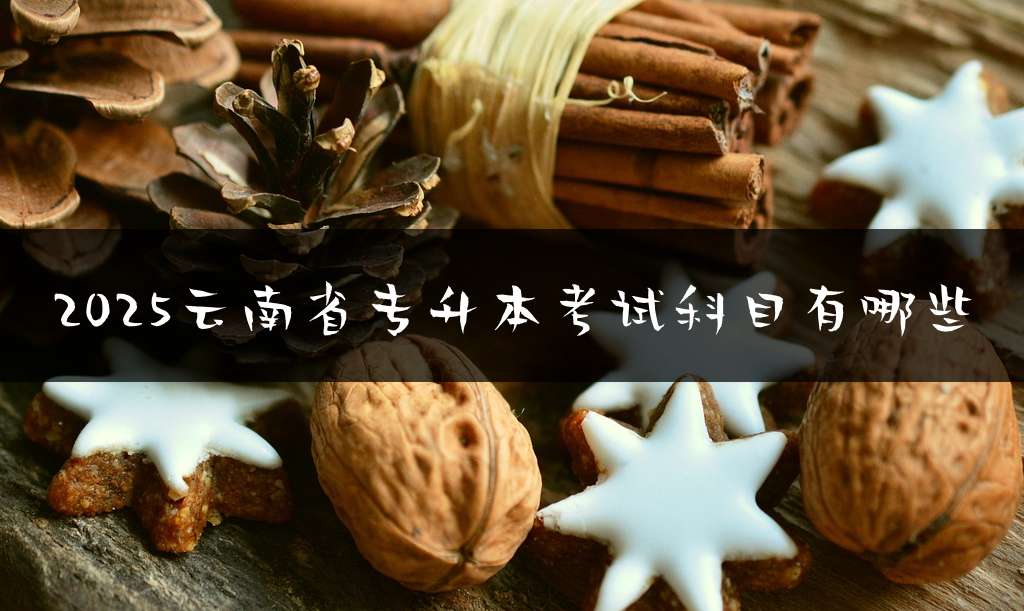 2025云南省专升本考试科目有哪些