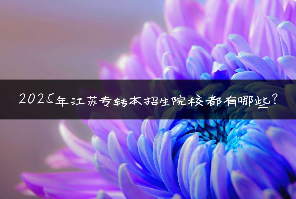 2025年江苏专转本招生院校都有哪些?