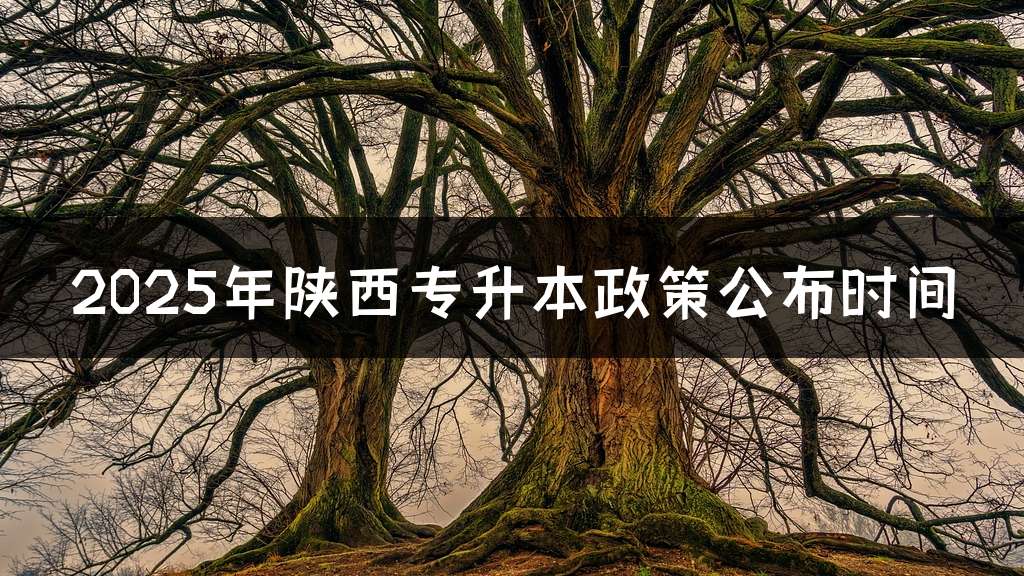 2025年陕西专升本政策公布时间