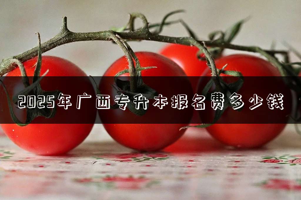 2025年广西专升本报名费多少钱