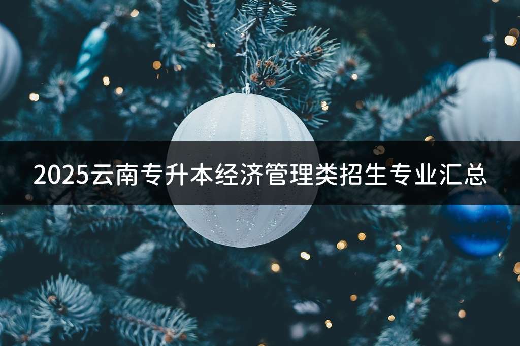 2025云南专升本经济管理类招生专业汇总