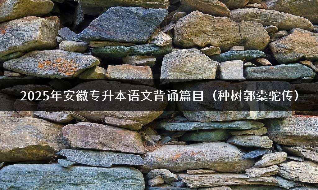 2025年安徽专升本语文背诵篇目（种树郭橐驼传）