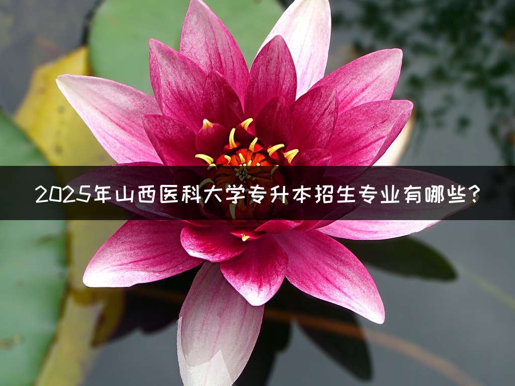 2025年山西医科大学专升本招生专业有哪些?