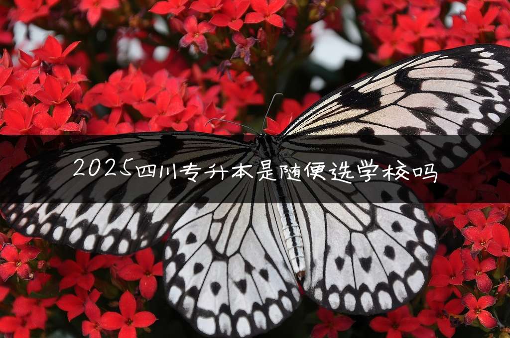 2025四川专升本是随便选学校吗