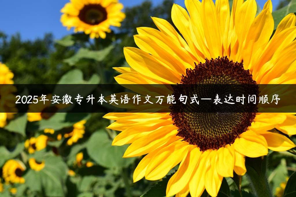 2025年安徽专升本英语作文万能句式—表达时间顺序