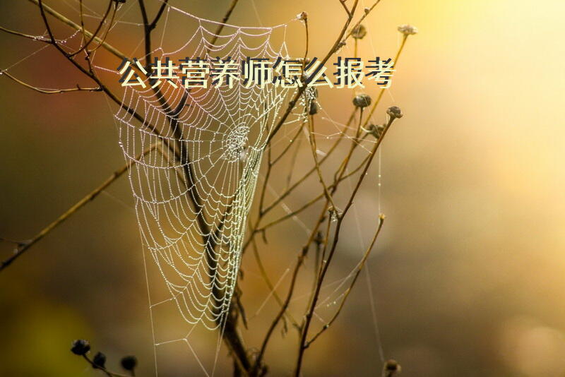 公共营养师怎么报考