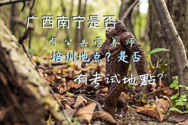 广西南宁是否有公共营养师培训地点？是否有考试地点？