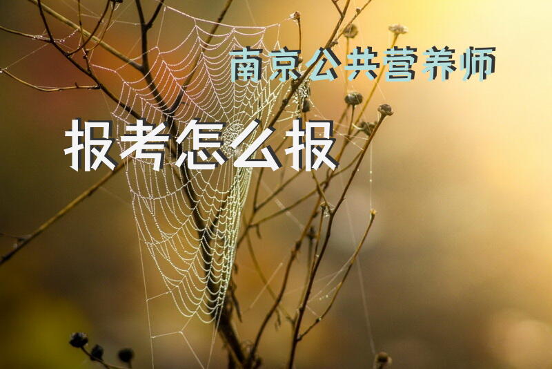 南京公共营养师报考怎么报