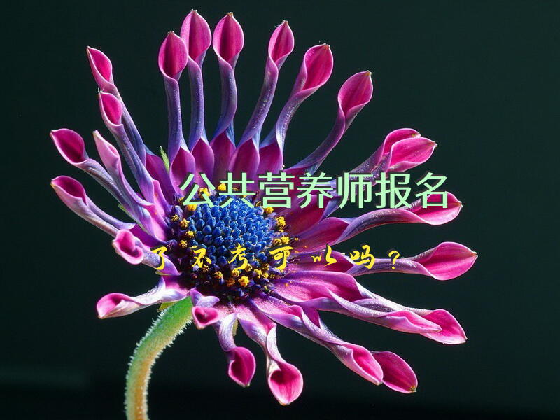 公共营养师报名了不考可以吗？