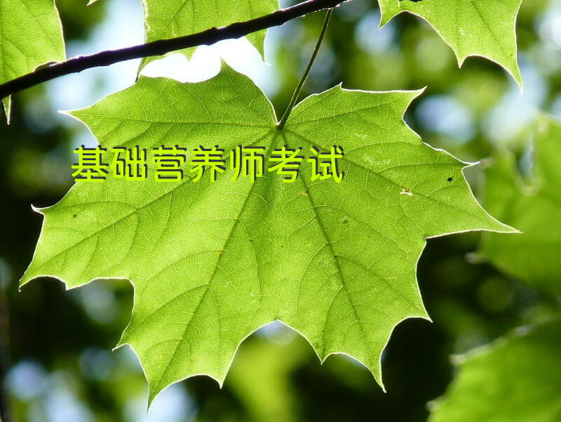 基础营养师考试