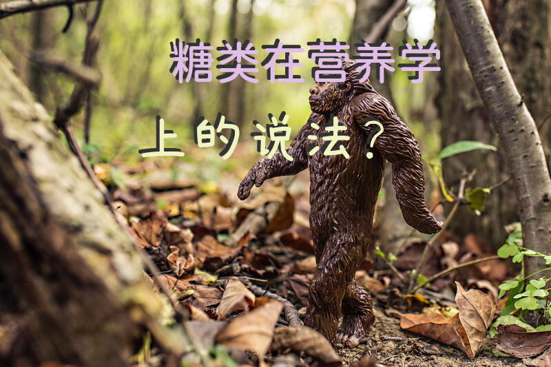 糖类在营养学上的说法？