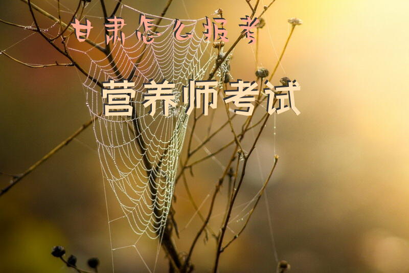 甘肃怎么报考营养师考试