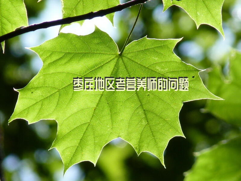 枣庄公共营养师报考