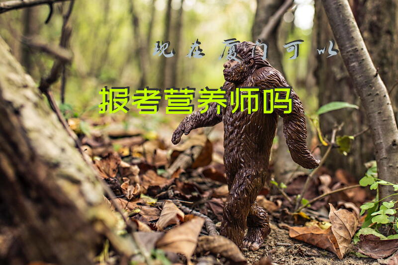 现在厦门可以报考营养师吗