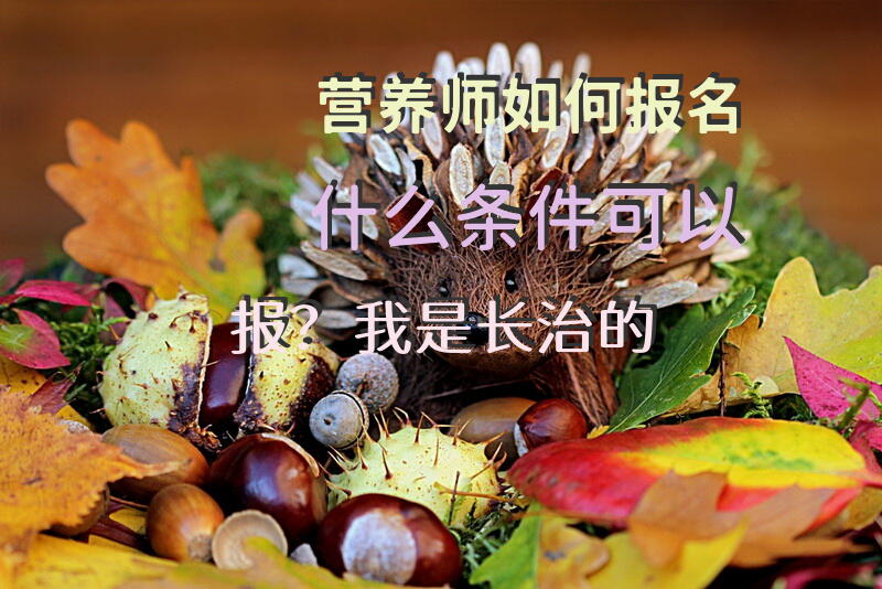 长治公共营养师报考