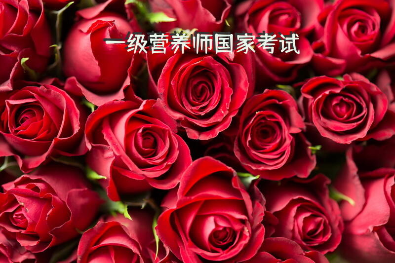 一级营养师国家考试
