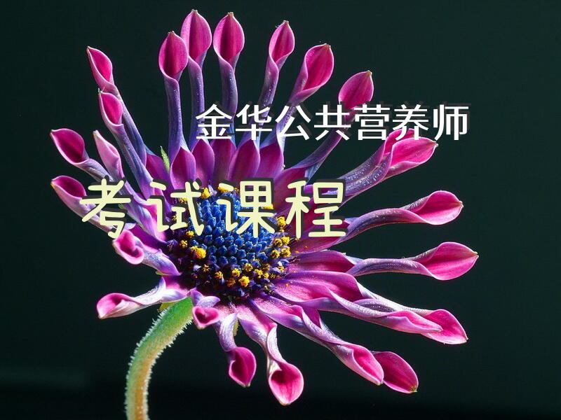 金华公共营养师考试课程