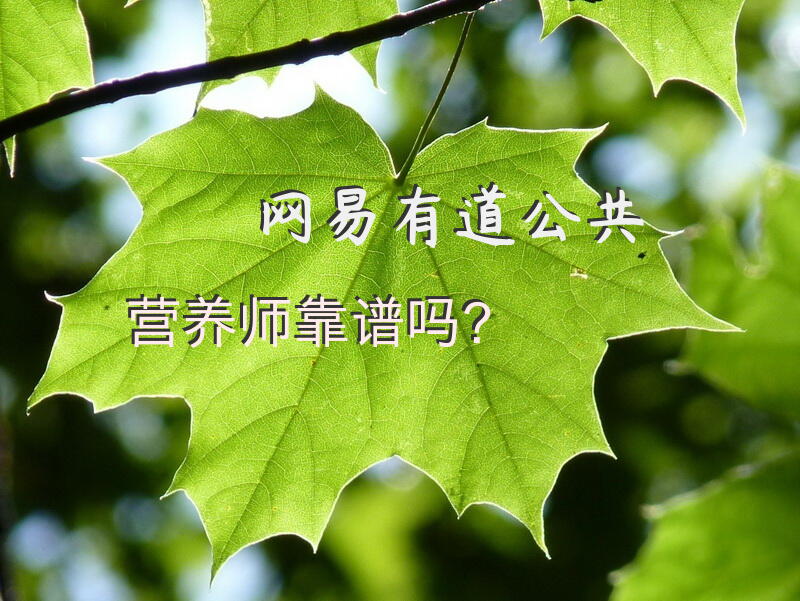 网易有道公共营养师靠谱吗？