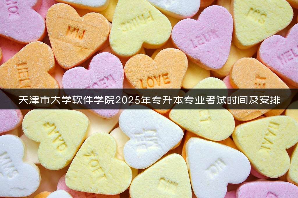 天津市大学软件学院2025年专升本专业考试时间及安排