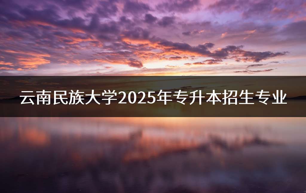 云南民族大学2025年专升本招生专业