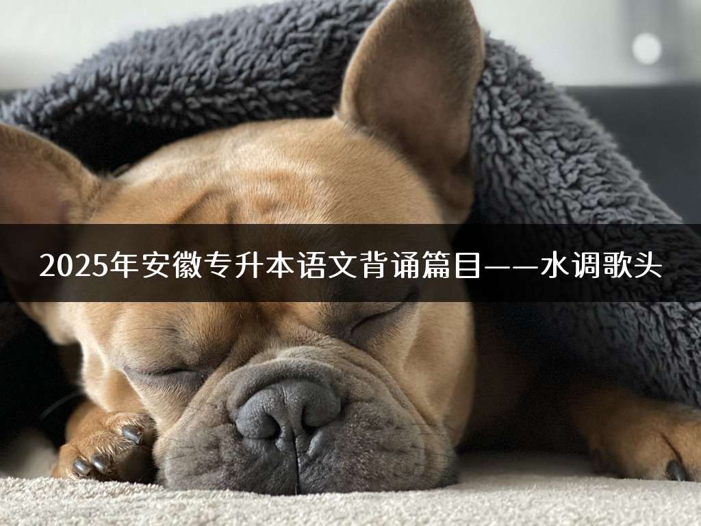 2025年安徽专升本语文背诵篇目——水调歌头