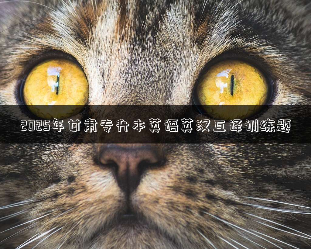 2025年甘肃专升本英语英汉互译训练题