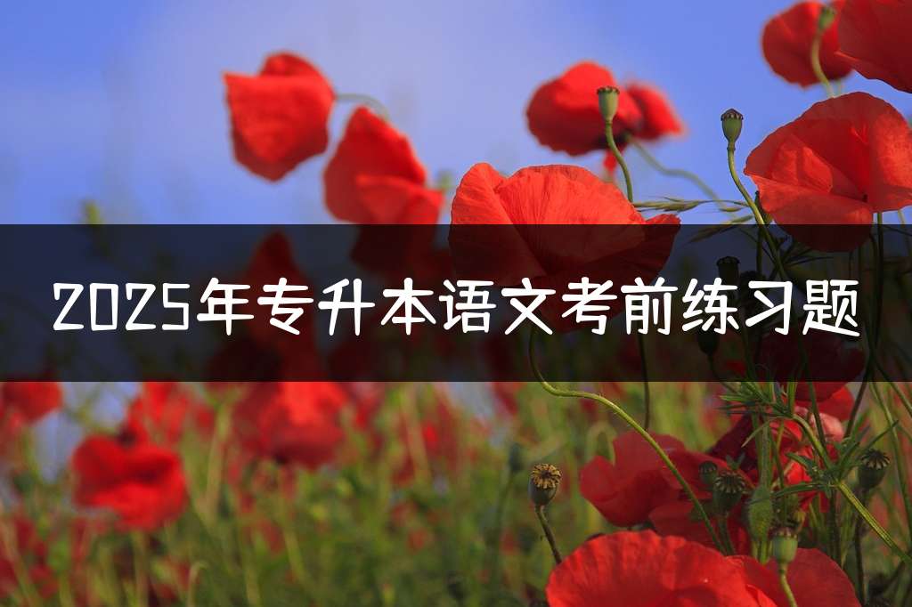 2025年专升本语文考前练习题