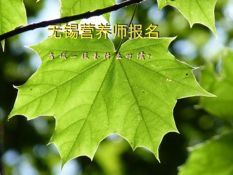无锡营养师报名考试一般是什么时候？