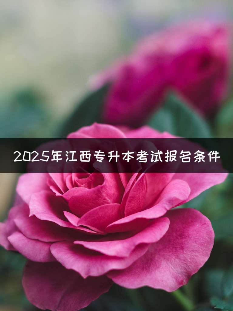 2025年江西专升本考试报名条件