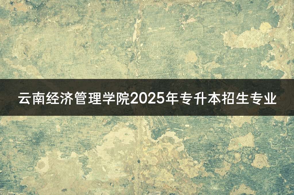 云南经济管理学院2025年专升本招生专业