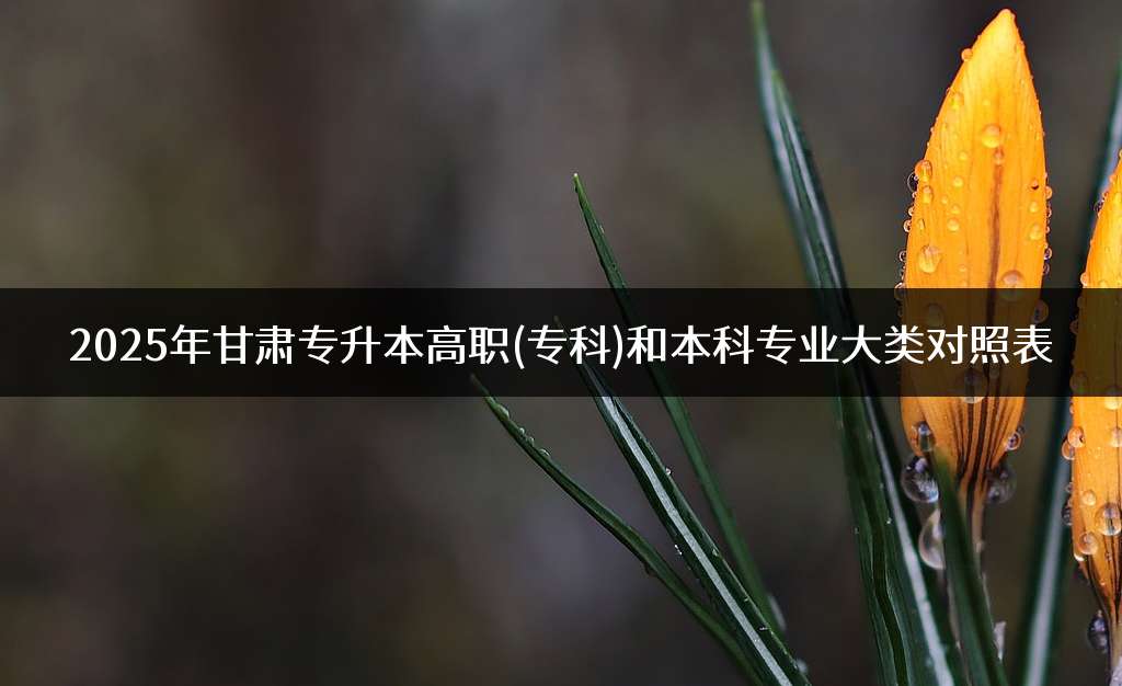 2025年甘肃专升本高职(专科)和本科专业大类对照表