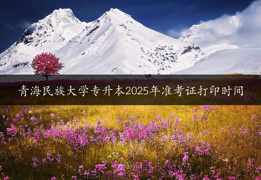 青海民族大学专升本2025年准考证打印时间