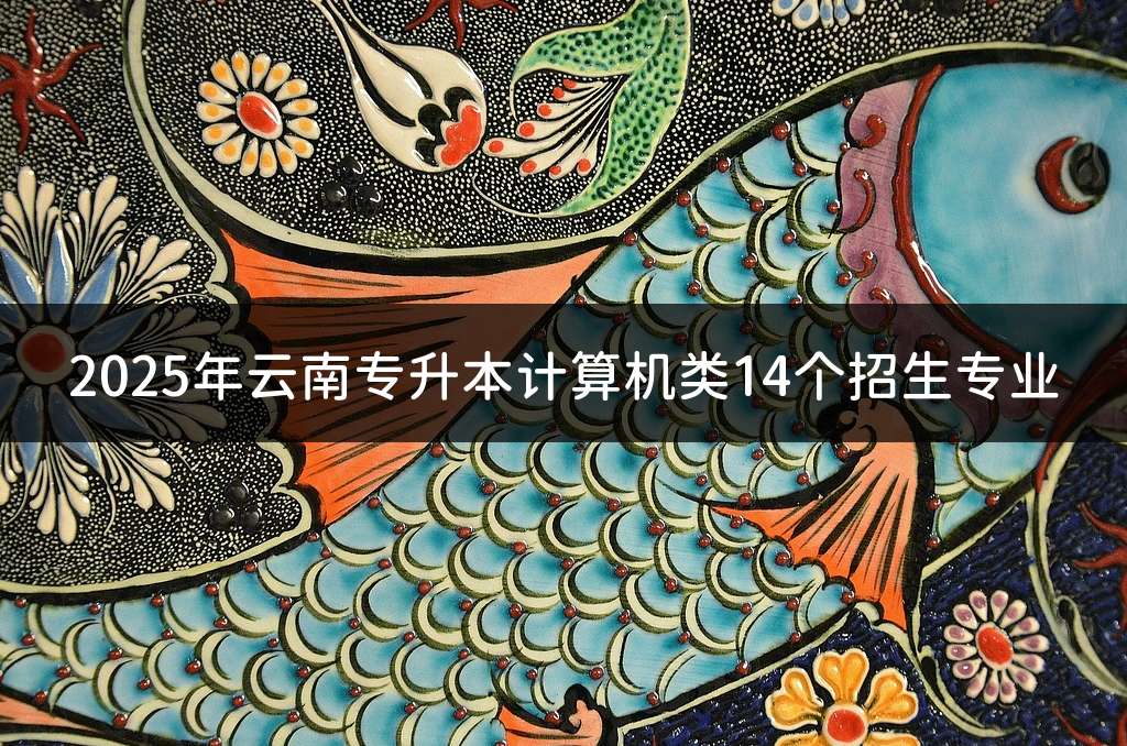2025年云南专升本计算机类14个招生专业
