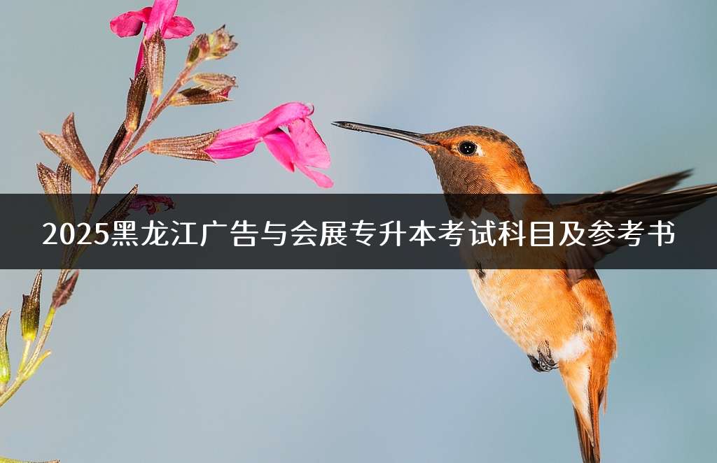2025黑龙江广告与会展专升本考试科目及参考书