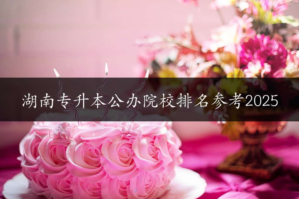 湖南专升本公办院校排名参考2025