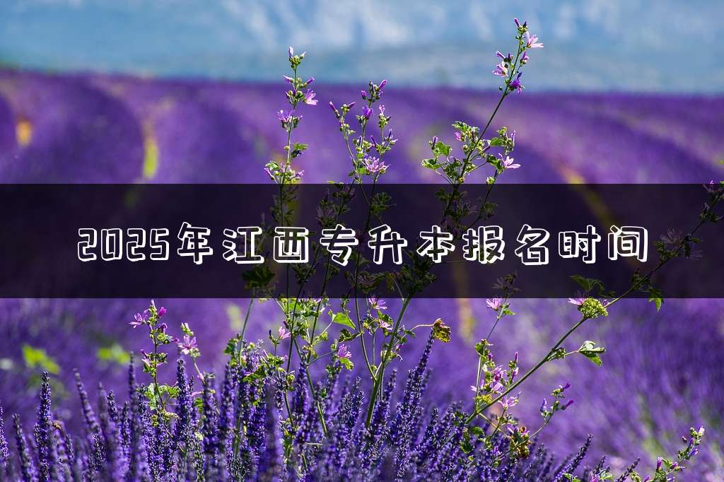 2025年江西专升本报名时间