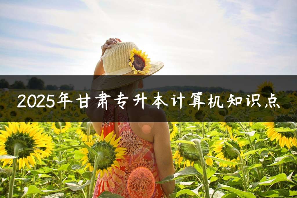 2025年甘肃专升本计算机知识点