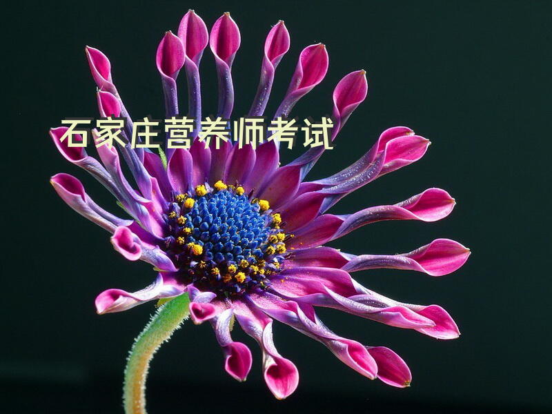 石家庄营养师考试