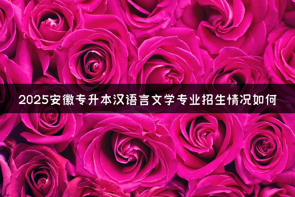 2025安徽专升本汉语言文学专业招生情况如何