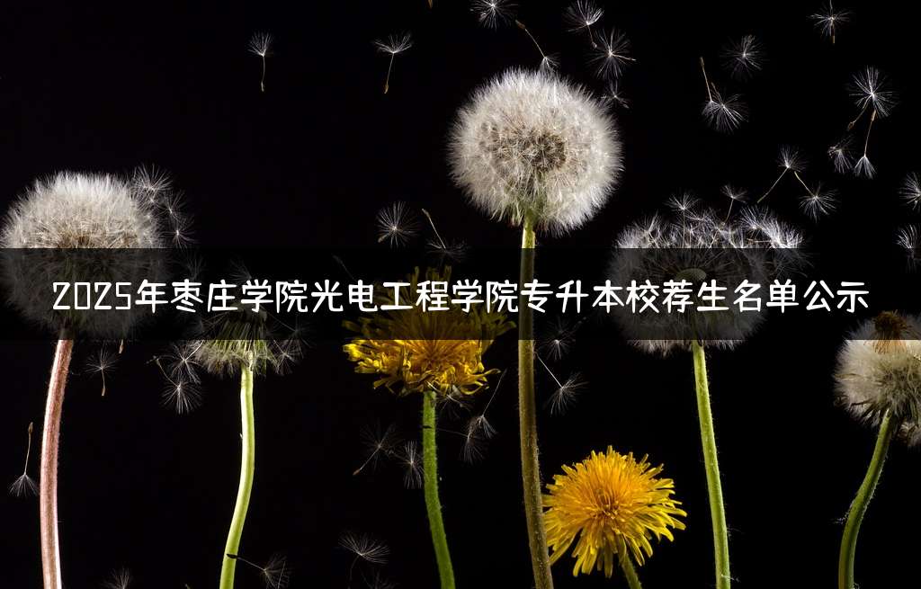 2025年枣庄学院光电工程学院专升本校荐生名单公示