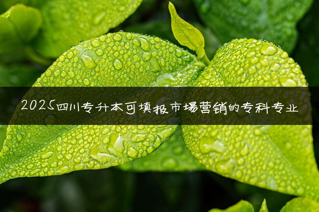 2025四川专升本可填报市场营销的专科专业