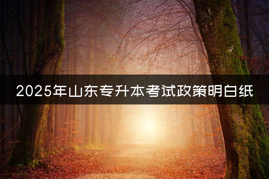 2025年山东专升本考试政策明白纸