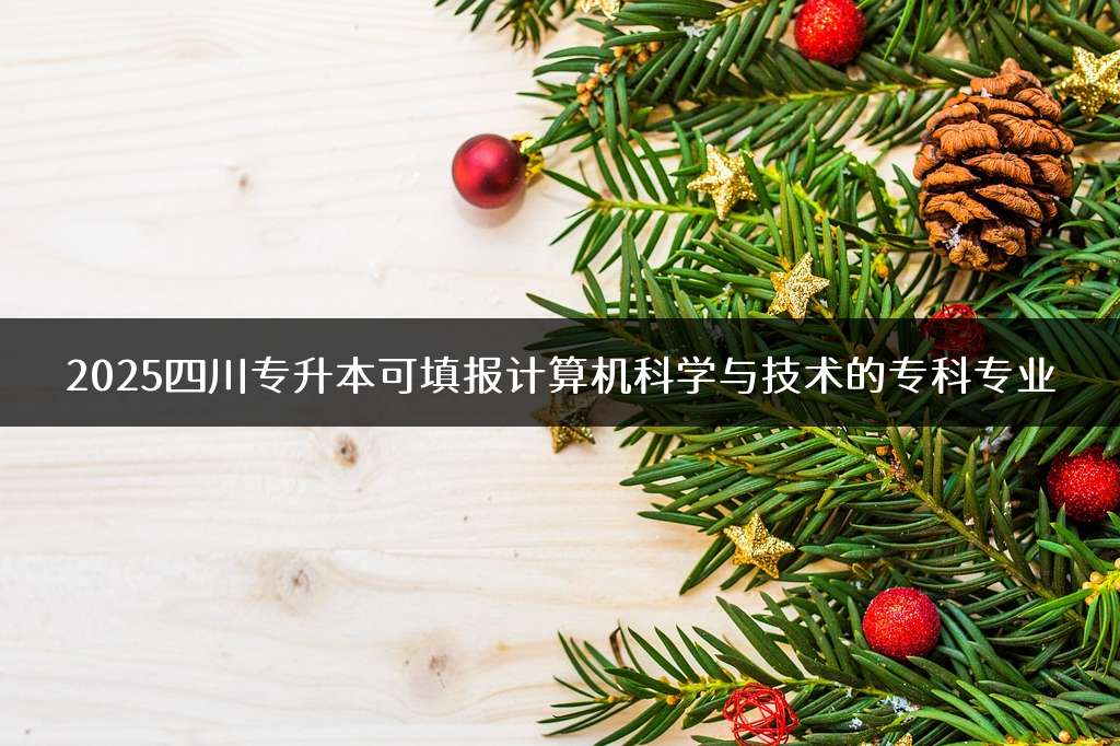 2025四川专升本可填报计算机科学与技术的专科专业