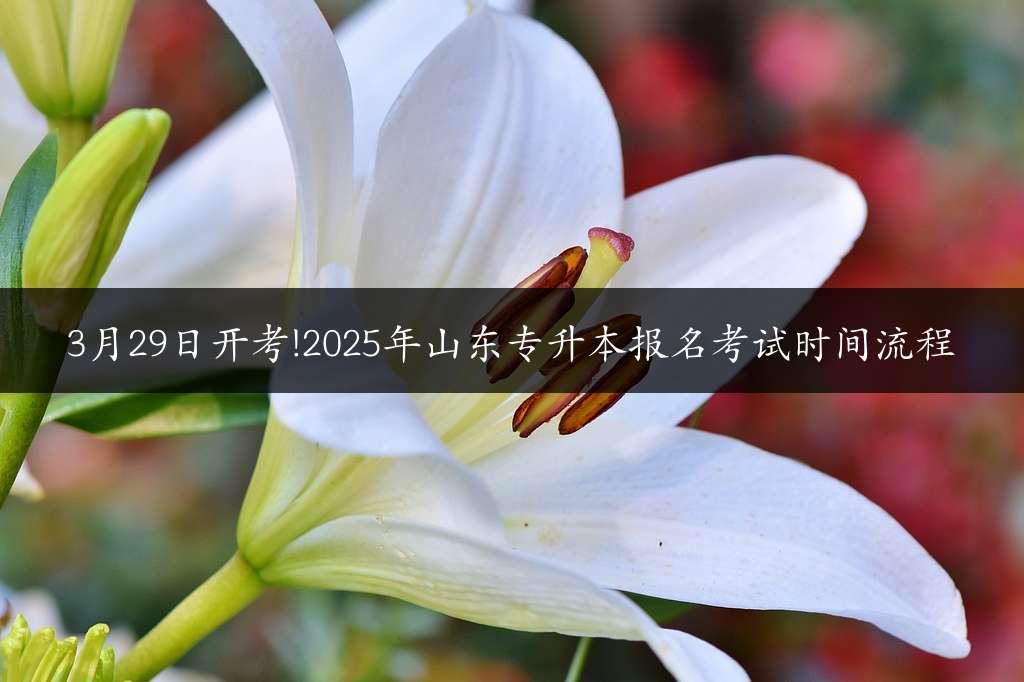 3月29日开考!2025年山东专升本报名考试时间流程