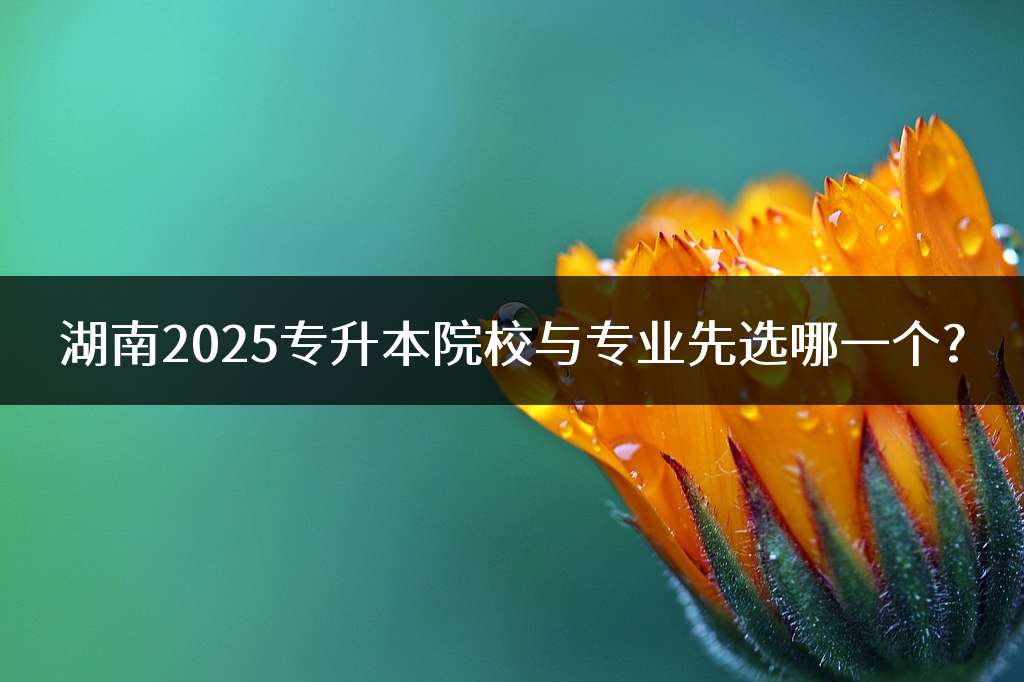 湖南2025专升本院校与专业先选哪一个?