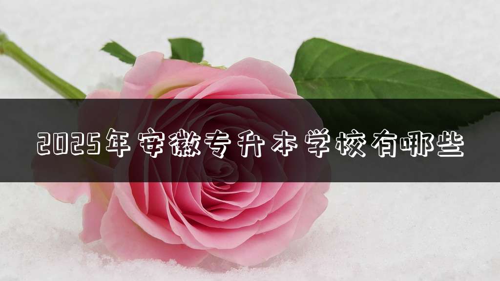 2025年安徽专升本学校有哪些