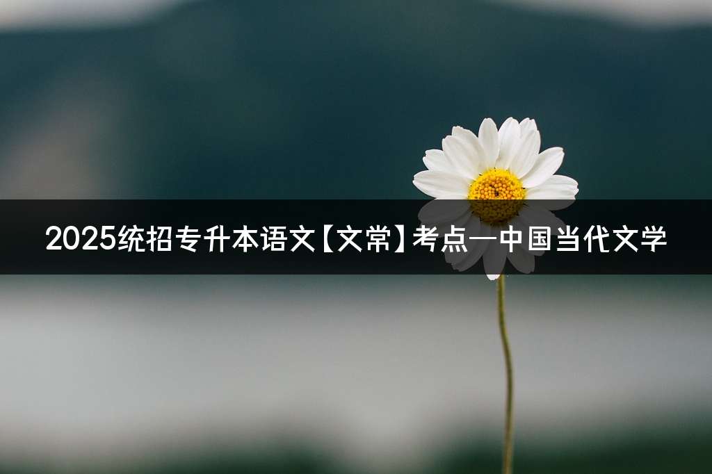 2025统招专升本语文【文常】考点—中国当代文学