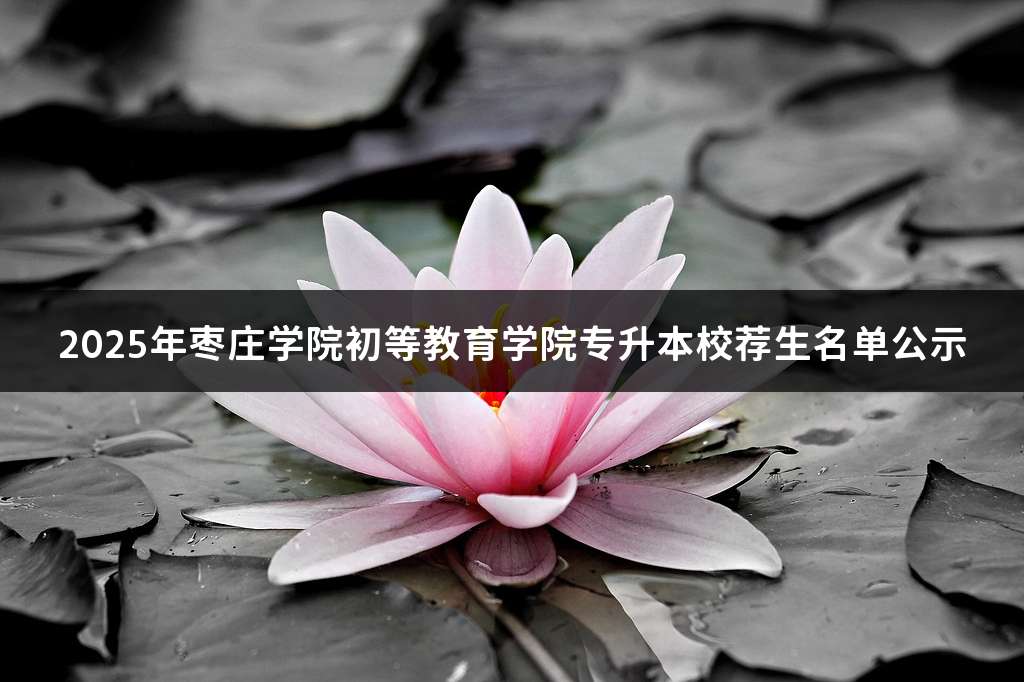 2025年枣庄学院初等教育学院专升本校荐生名单公示